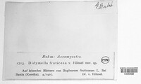 Image of Didymella fruticosae